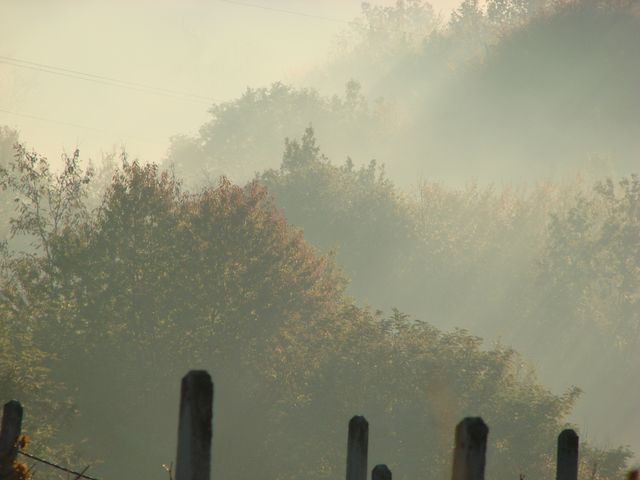 bregi u magli 2012